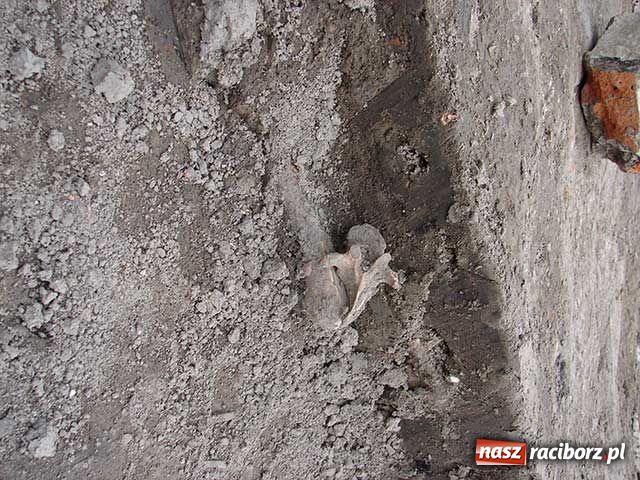 Zdjęcie w galerii na portalu naszraciborz.pl: Tajemnica duchów z Młyńskiej wiadomości z regionu