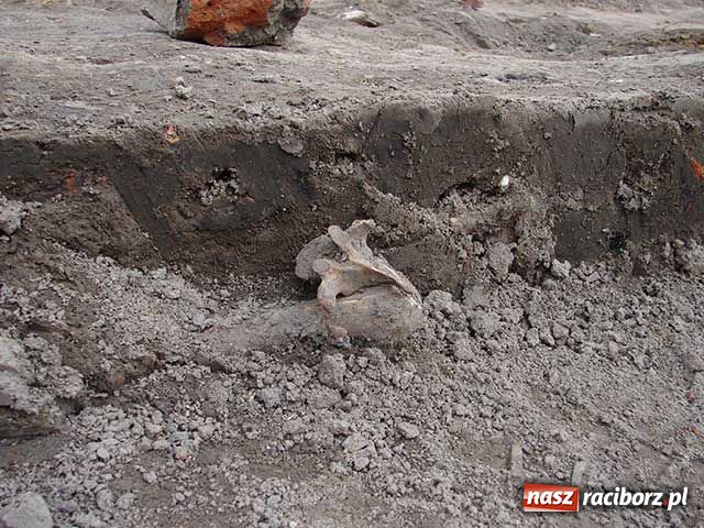 Zdjęcie w galerii na portalu naszraciborz.pl: Tajemnica duchów z Młyńskiej wiadomości z regionu