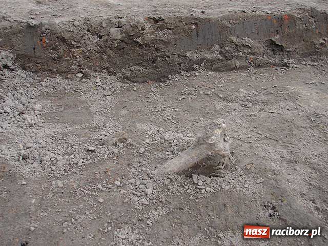 Zdjęcie w galerii na portalu naszraciborz.pl: Tajemnica duchów z Młyńskiej wiadomości z regionu