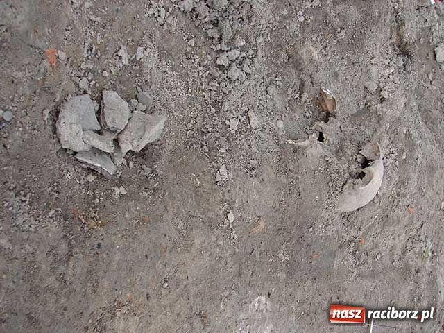 Zdjęcie w galerii na portalu naszraciborz.pl: Tajemnica duchów z Młyńskiej wiadomości z regionu