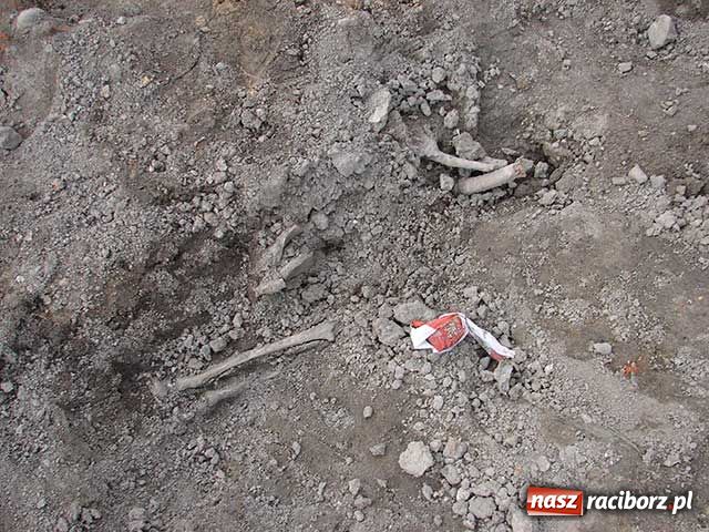 Zdjęcie w galerii na portalu naszraciborz.pl: Tajemnica duchów z Młyńskiej wiadomości z regionu