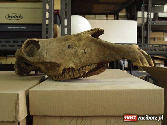 Zdjęcie w galerii na portalu naszraciborz.pl: Tajemnica duchów z Młyńskiej wiadomości z regionu