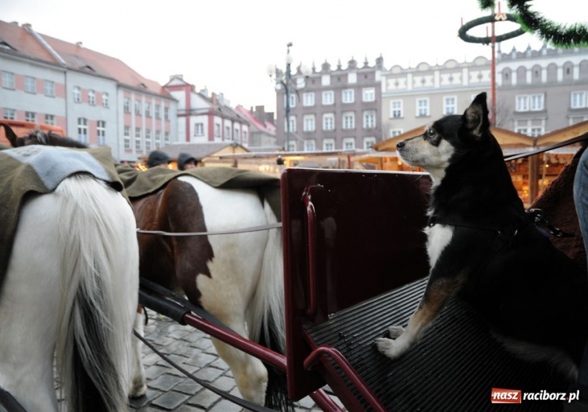 Zdjęcie w galerii na portalu naszraciborz.pl: Ruszył świąteczny jarmark na Rynku wiadomości z regionu