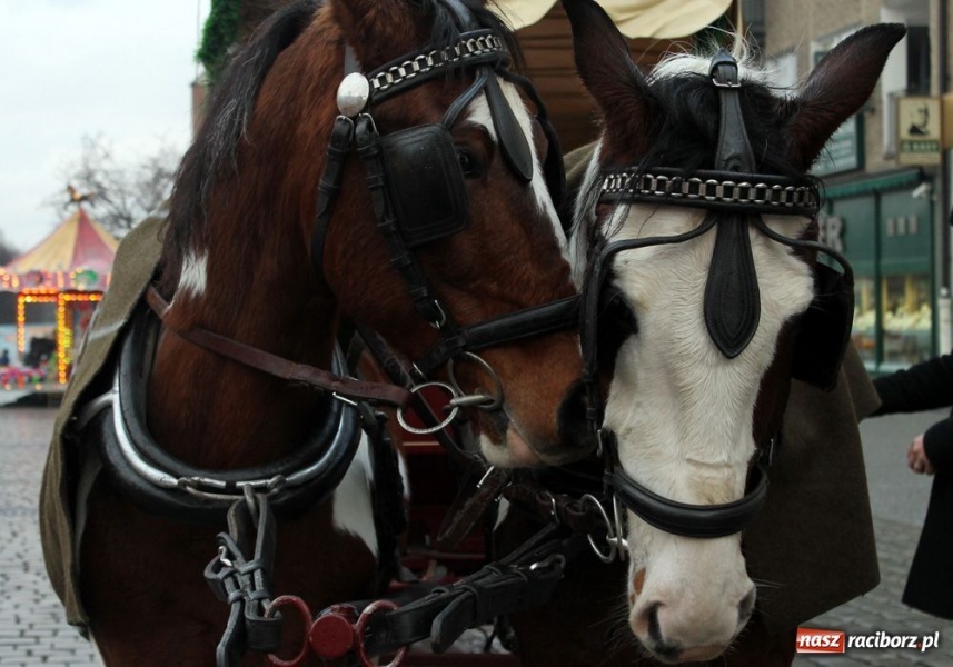 Zdjęcie w galerii na portalu naszraciborz.pl: Ruszył świąteczny jarmark na Rynku wiadomości z regionu