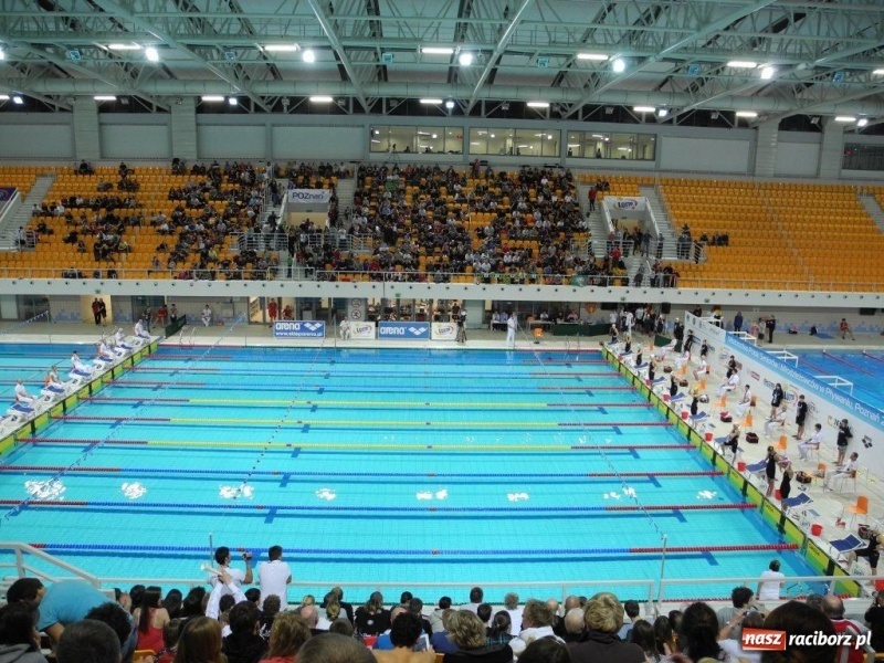 Zdjęcie w galerii na portalu naszraciborz.pl: Pływanie: Mistrzowskie ostatki wiadomości z regionu