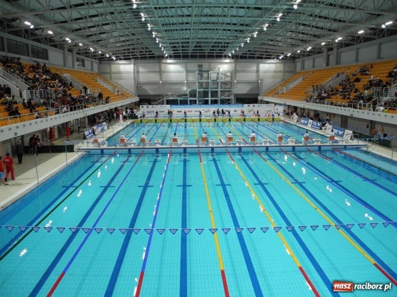 Zdjęcie w galerii na portalu naszraciborz.pl: Pływanie: Mistrzowskie ostatki wiadomości z regionu