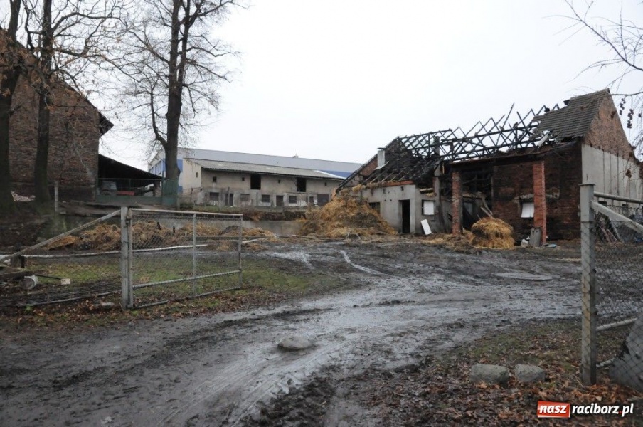 Zdjęcie w galerii na portalu naszraciborz.pl: Najpierw był huk, a potem pożar wiadomości z regionu