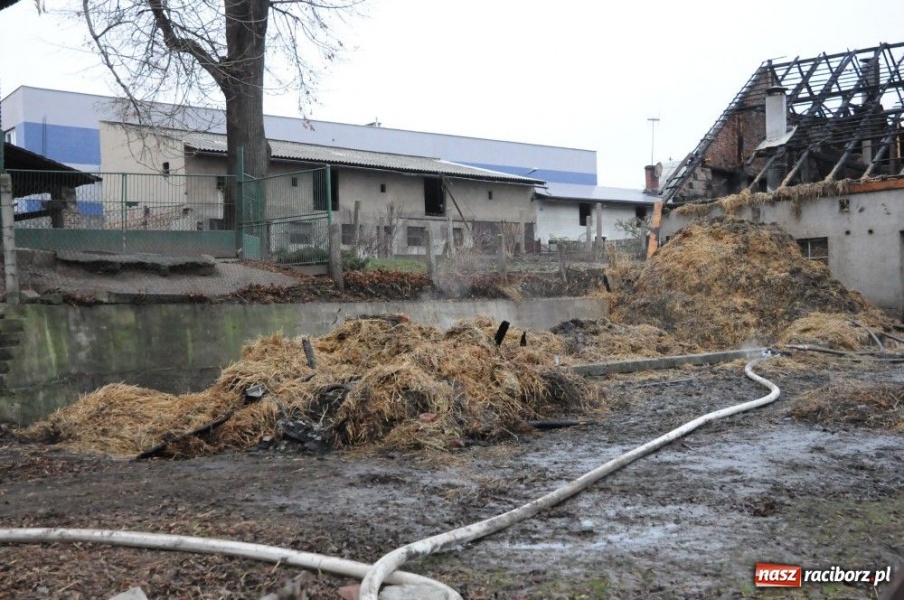 Zdjęcie w galerii na portalu naszraciborz.pl: Najpierw był huk, a potem pożar wiadomości z regionu