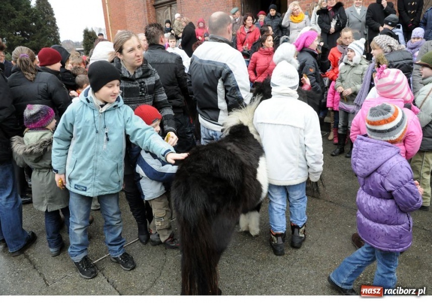 Zdjęcie w galerii na portalu naszraciborz.pl: Trzej Królowie zawitali dziś do Brzezia wiadomości z regionu