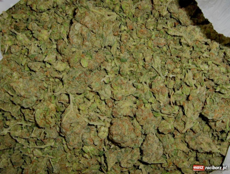 Zdjęcie w galerii na portalu naszraciborz.pl: ŚOSG: Narkotyki znalezione w samochodzie  wiadomości z regionu