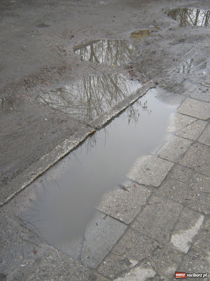 Zdjęcie w galerii na portalu naszraciborz.pl: Mieszkańcy Parkowej grzęzną w błocie wiadomości z regionu