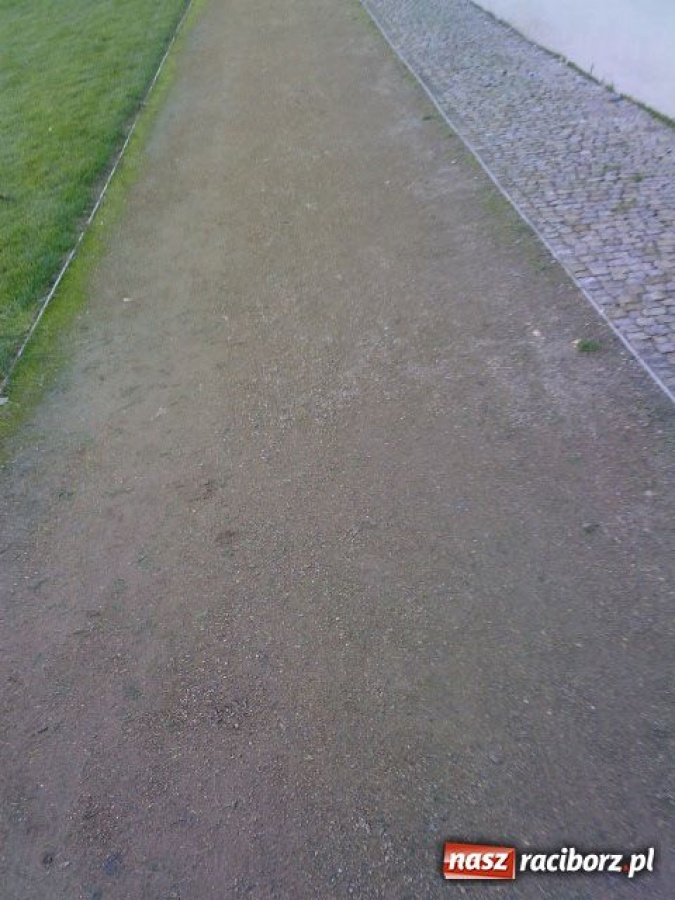 Zdjęcie w galerii na portalu naszraciborz.pl: Organizacje w sprawie ścieżek rowerowych wiadomości z regionu