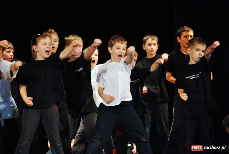 Zdjęcie w galerii na portalu naszraciborz.pl: Od kung-fu przez karate po boks wiadomości z regionu