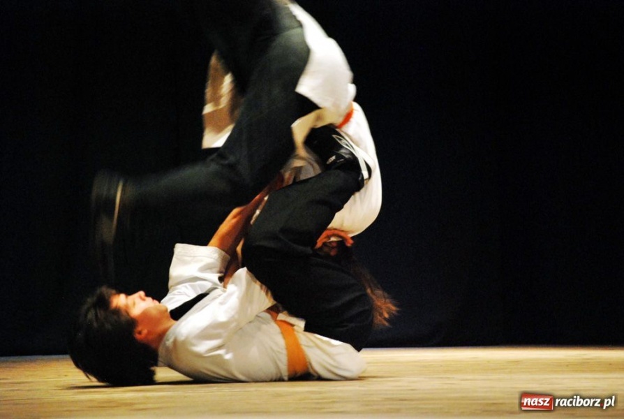 Zdjęcie w galerii na portalu naszraciborz.pl: Od kung-fu przez karate po boks wiadomości z regionu