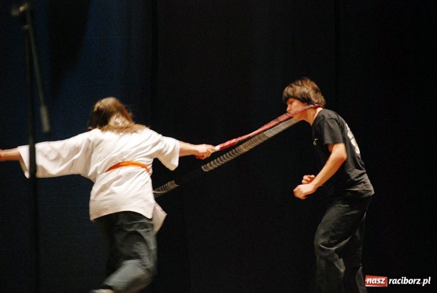 Zdjęcie w galerii na portalu naszraciborz.pl: Od kung-fu przez karate po boks wiadomości z regionu