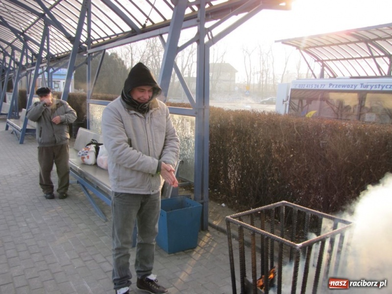 Zdjęcie w galerii na portalu naszraciborz.pl: Koksiaki grzeją, że aż miło wiadomości z regionu