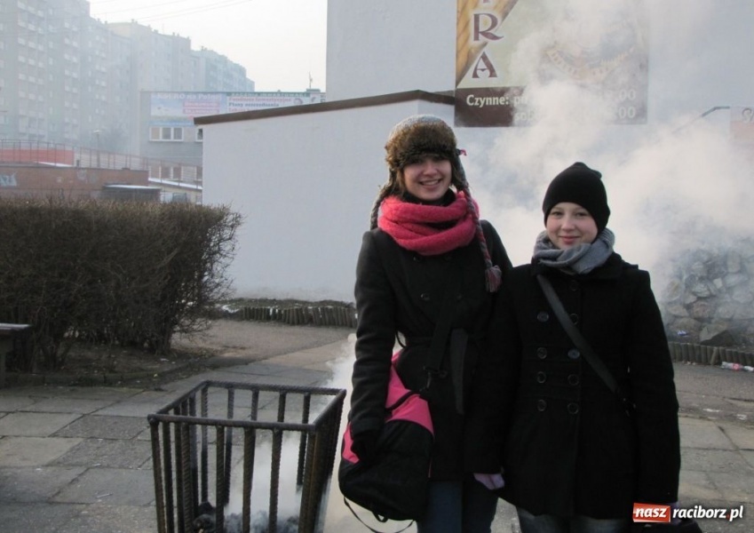 Zdjęcie w galerii na portalu naszraciborz.pl: Koksiaki grzeją, że aż miło wiadomości z regionu