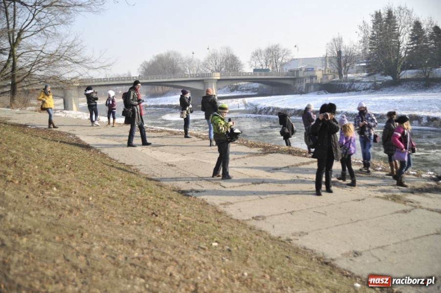 Zdjęcie w galerii na portalu naszraciborz.pl: Racibórz zimą - warsztaty fotograficzne wiadomości z regionu