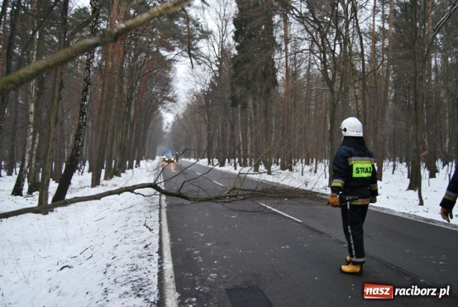 Zdjęcie w galerii na portalu naszraciborz.pl: Nieszczęście wisiało w powietrzu wiadomości z regionu