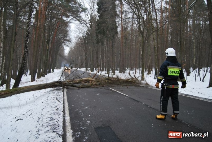 Zdjęcie w galerii na portalu naszraciborz.pl: Nieszczęście wisiało w powietrzu wiadomości z regionu