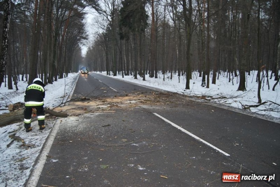 Zdjęcie w galerii na portalu naszraciborz.pl: Nieszczęście wisiało w powietrzu wiadomości z regionu