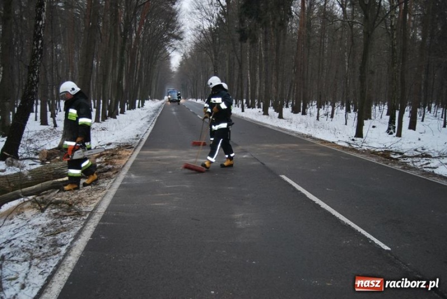 Zdjęcie w galerii na portalu naszraciborz.pl: Nieszczęście wisiało w powietrzu wiadomości z regionu