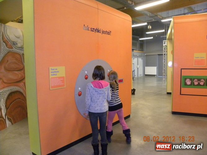 Zdjęcie w galerii na portalu naszraciborz.pl: Ferie z Biblioteką - wspomnienie wiadomości z regionu