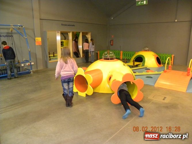 Zdjęcie w galerii na portalu naszraciborz.pl: Ferie z Biblioteką - wspomnienie wiadomości z regionu