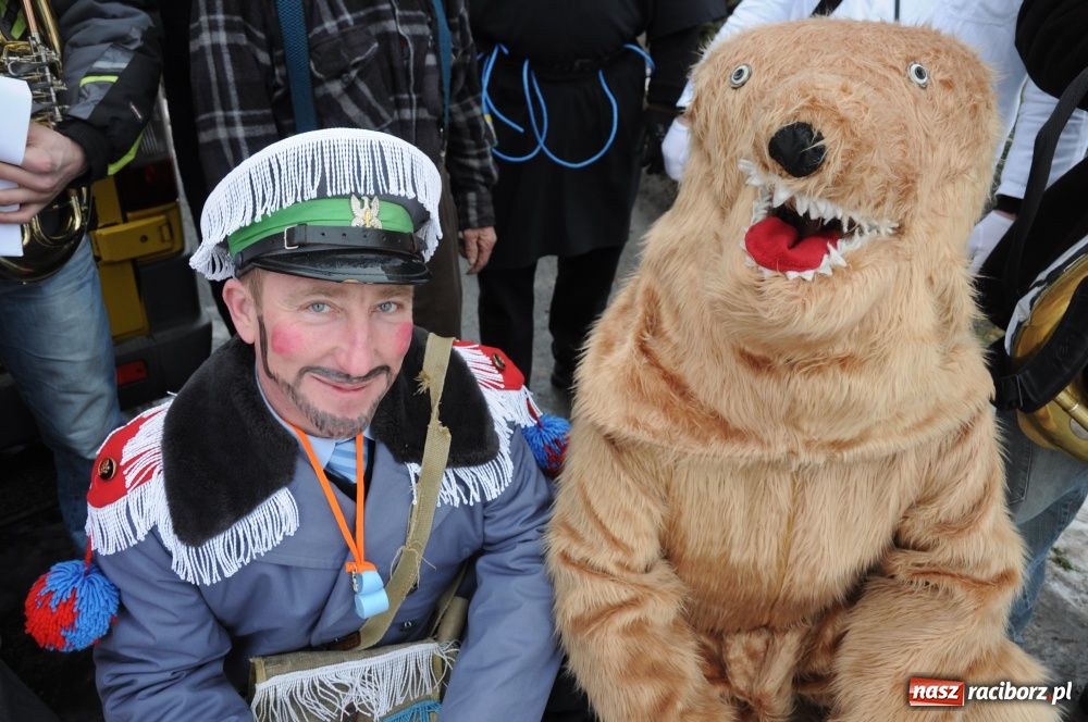 Zdjęcie w galerii na portalu naszraciborz.pl: Miś żegna się już z karnawałem wiadomości z regionu