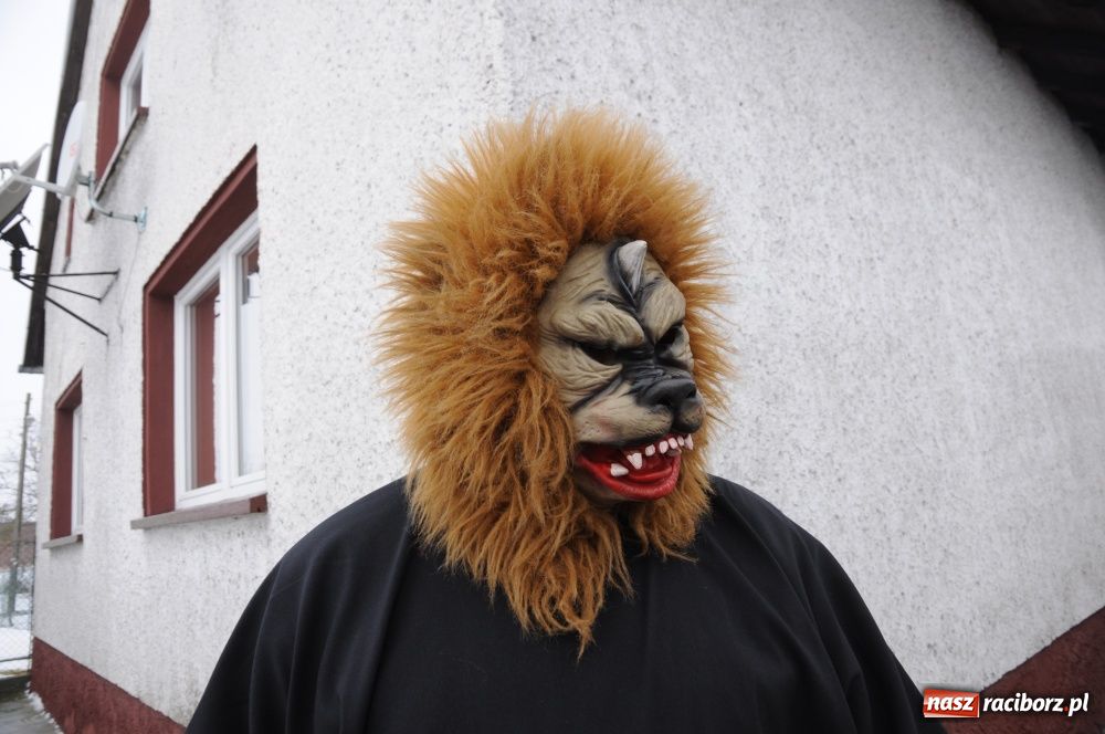 Zdjęcie w galerii na portalu naszraciborz.pl: Miś żegna się już z karnawałem wiadomości z regionu