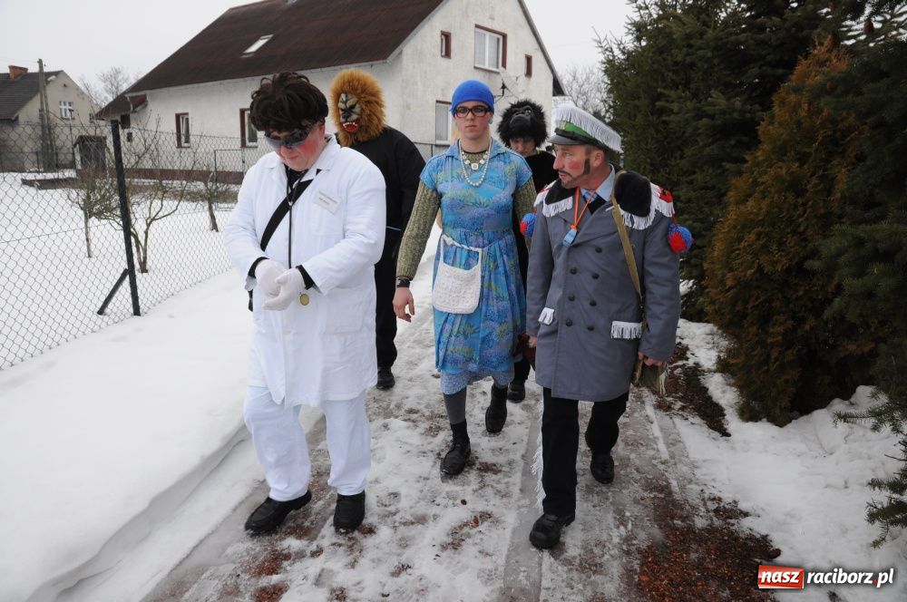 Zdjęcie w galerii na portalu naszraciborz.pl: Miś żegna się już z karnawałem wiadomości z regionu