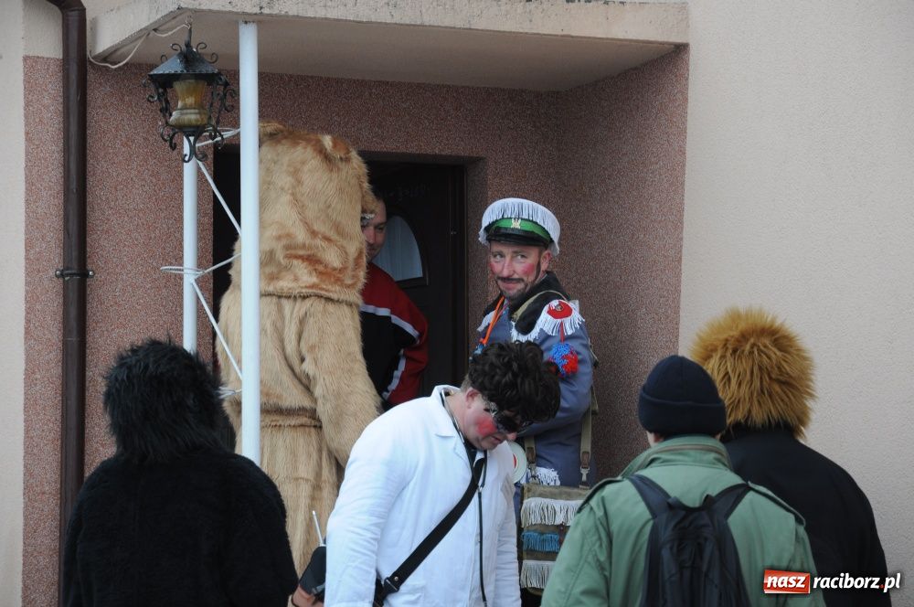Zdjęcie w galerii na portalu naszraciborz.pl: Miś żegna się już z karnawałem wiadomości z regionu