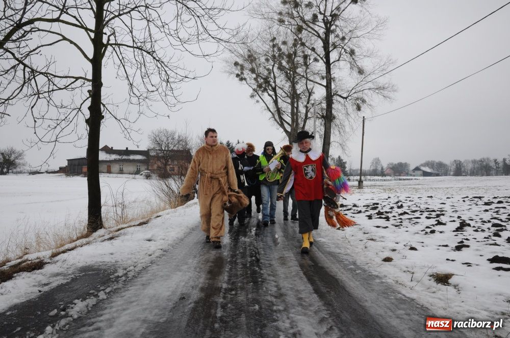 Zdjęcie w galerii na portalu naszraciborz.pl: Miś żegna się już z karnawałem wiadomości z regionu