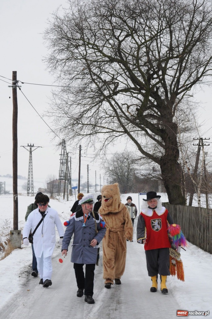 Zdjęcie w galerii na portalu naszraciborz.pl: Miś żegna się już z karnawałem wiadomości z regionu