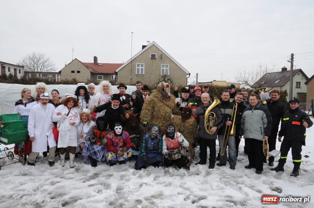 Zdjęcie w galerii na portalu naszraciborz.pl: W Samborowicach ostatki z misiem wiadomości z regionu