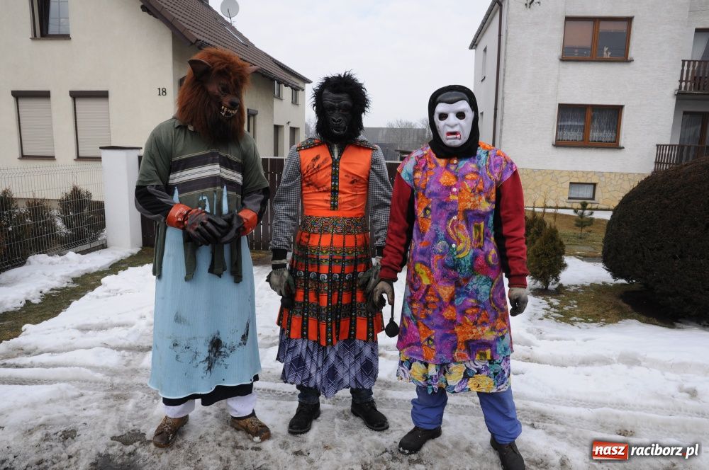 Zdjęcie w galerii na portalu naszraciborz.pl: W Samborowicach ostatki z misiem wiadomości z regionu