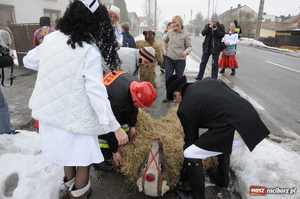 Zdjęcie w galerii na portalu naszraciborz.pl: W Samborowicach ostatki z misiem wiadomości z regionu