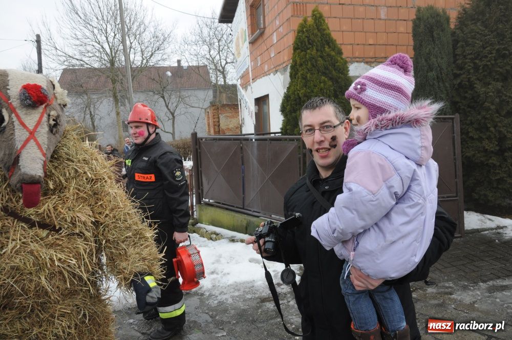 Zdjęcie w galerii na portalu naszraciborz.pl: W Samborowicach ostatki z misiem wiadomości z regionu