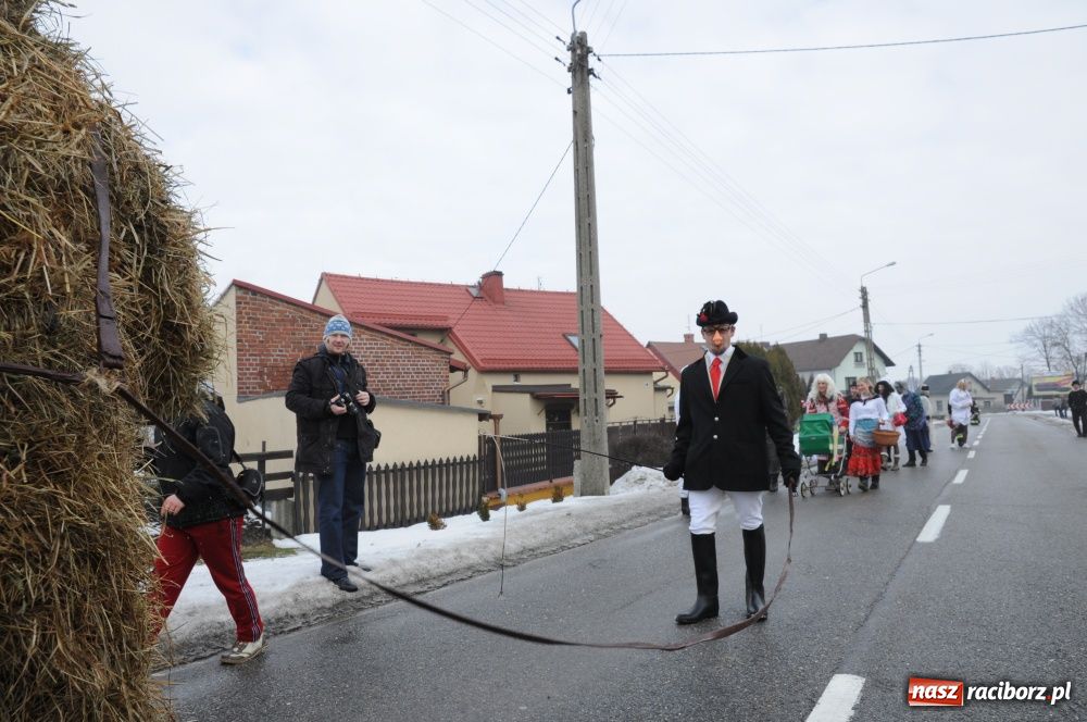 Zdjęcie w galerii na portalu naszraciborz.pl: W Samborowicach ostatki z misiem wiadomości z regionu