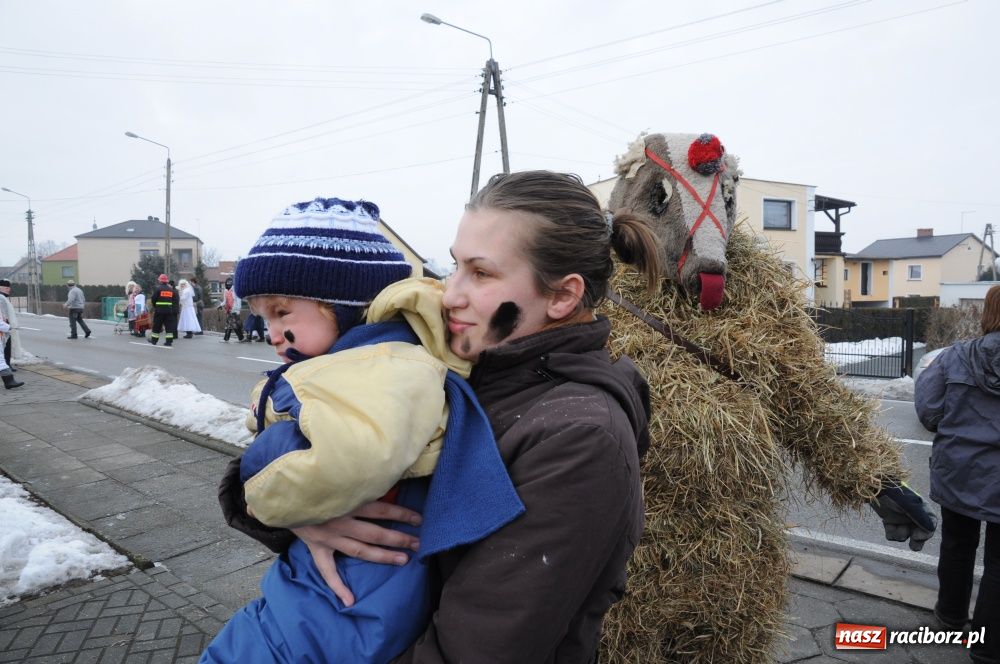 Zdjęcie w galerii na portalu naszraciborz.pl: W Samborowicach ostatki z misiem wiadomości z regionu