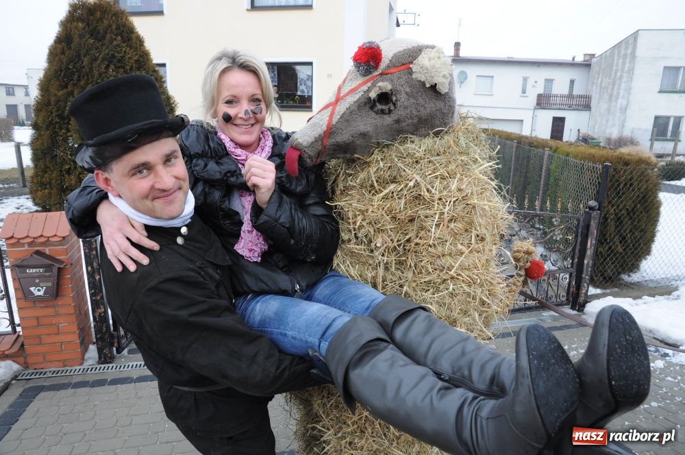 Zdjęcie w galerii na portalu naszraciborz.pl: W Samborowicach ostatki z misiem wiadomości z regionu