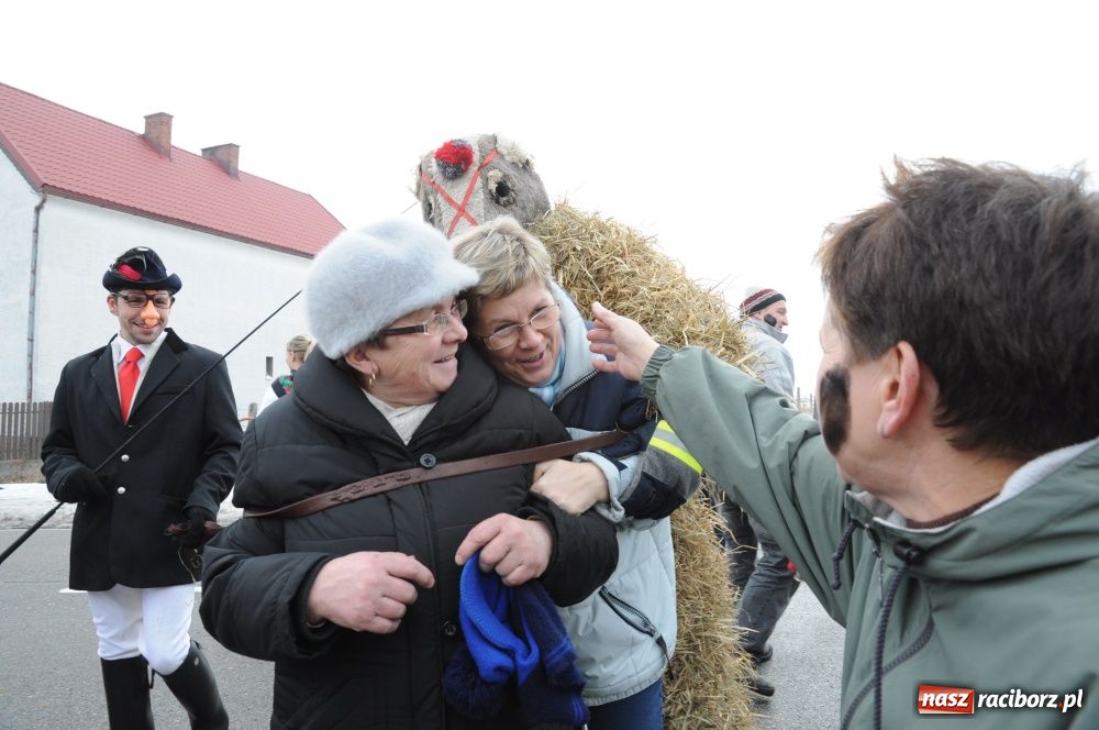Zdjęcie w galerii na portalu naszraciborz.pl: W Samborowicach ostatki z misiem wiadomości z regionu