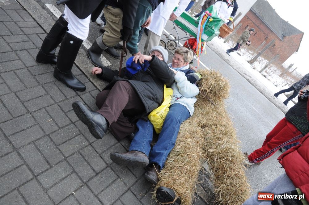 Zdjęcie w galerii na portalu naszraciborz.pl: W Samborowicach ostatki z misiem wiadomości z regionu