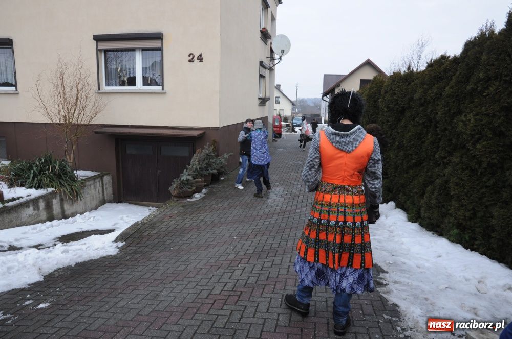 Zdjęcie w galerii na portalu naszraciborz.pl: W Samborowicach ostatki z misiem wiadomości z regionu