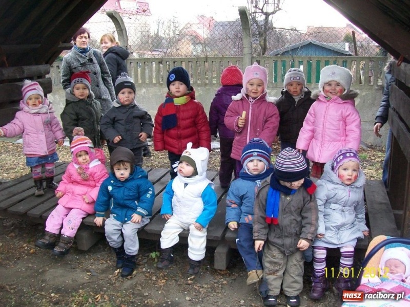 Zdjęcie w galerii na portalu naszraciborz.pl: Fikusiowy karnawał dobiega końca wiadomości z regionu