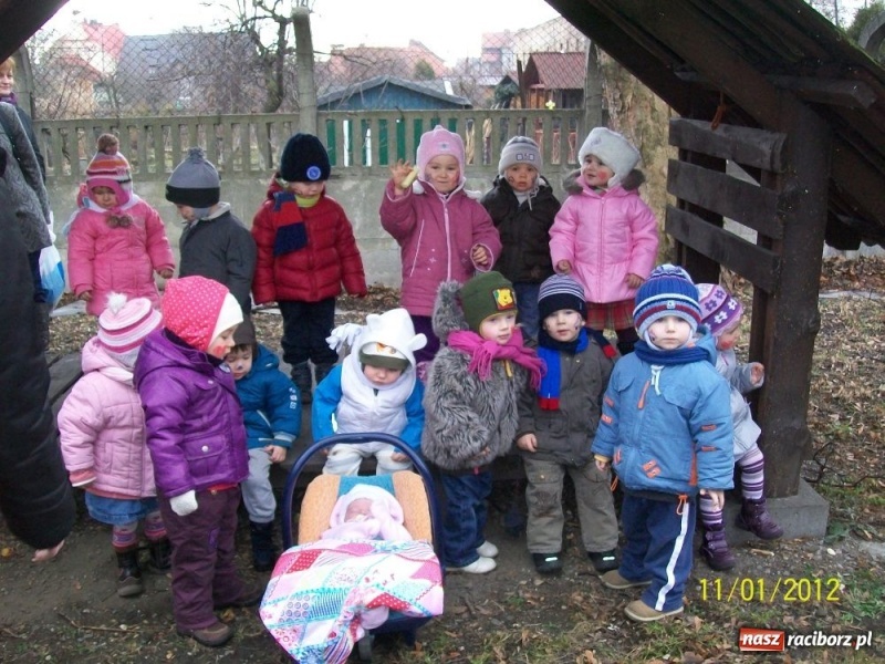 Zdjęcie w galerii na portalu naszraciborz.pl: Fikusiowy karnawał dobiega końca wiadomości z regionu