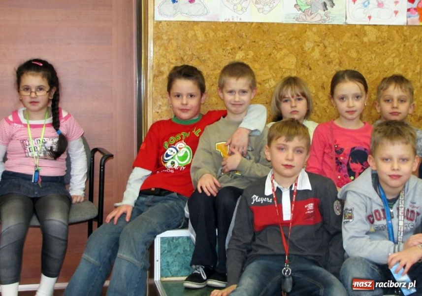 Zdjęcie w galerii na portalu naszraciborz.pl: Akcja SP 13 - owce w sieci wiadomości z regionu