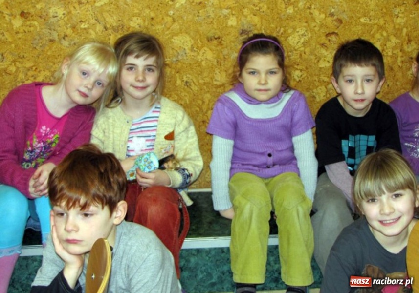 Zdjęcie w galerii na portalu naszraciborz.pl: Akcja SP 13 - owce w sieci wiadomości z regionu