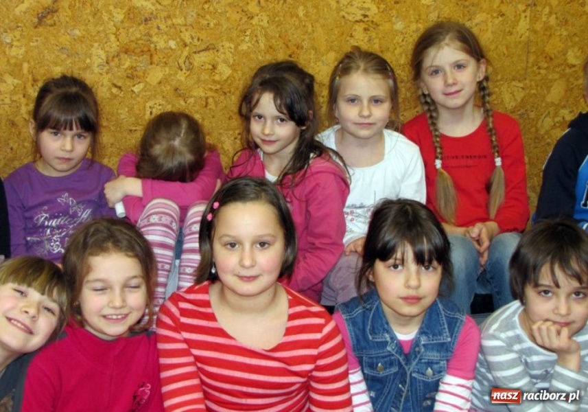 Zdjęcie w galerii na portalu naszraciborz.pl: Akcja SP 13 - owce w sieci wiadomości z regionu