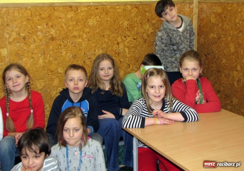 Zdjęcie w galerii na portalu naszraciborz.pl: Akcja SP 13 - owce w sieci wiadomości z regionu